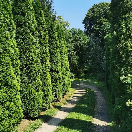Tatil Evi Vikendica Kraj Dunava Oaza
