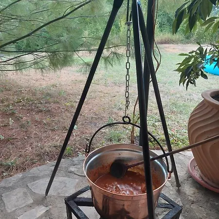 Tatil Evi Vikendica Kraj Dunava Oaza Banostor