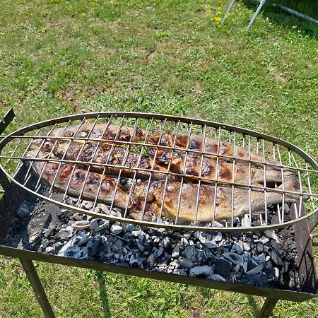Vikendica Kraj Dunava Oaza Tatil Evi Banostor