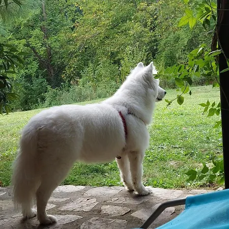 Vikendica Kraj Dunava Oaza Tatil Evi *