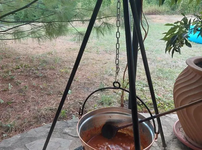 Ferienhaus Vikendica Kraj Dunava Oaza Banostor