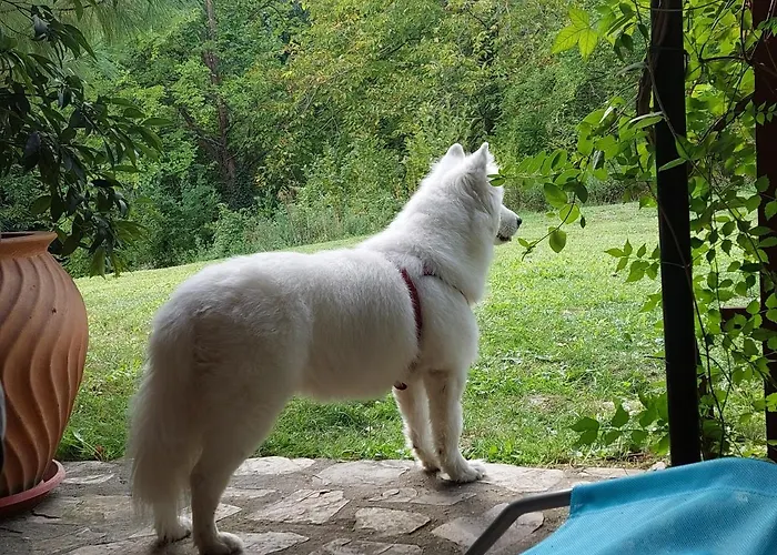 Vikendica Kraj Dunava Oaza Ferienhaus *