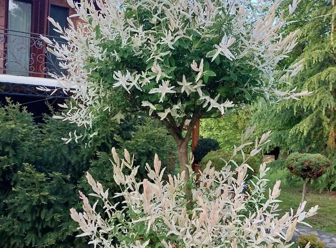 Vikendica Kraj Dunava Oaza Banostor