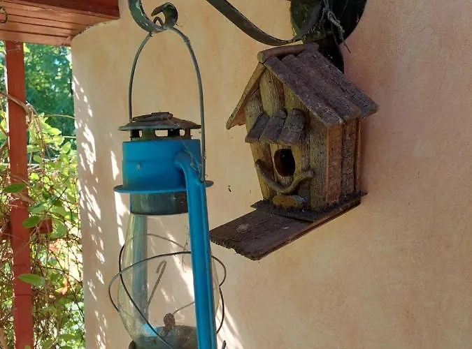 Ferienhaus Vikendica Kraj Dunava Oaza